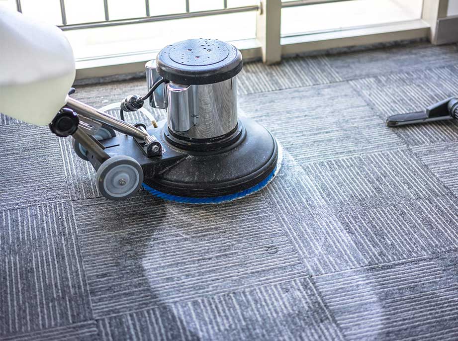 professionelle Teppichreinigung professionelle Teppichreinigung